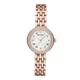 Emporio Armani AR11355 Women's Analog Watch
