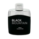 Mega Collection Black Mountain Eau de Parfum 100ml